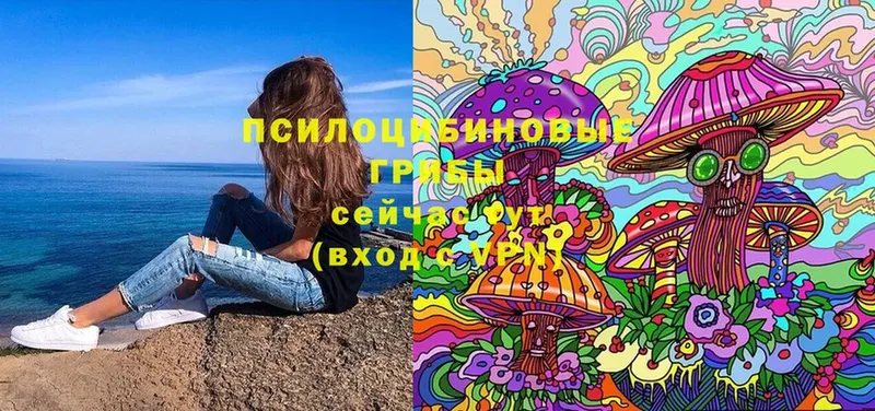 кракен tor  Велиж  Галлюциногенные грибы Magic Shrooms 